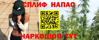 молекула духа Нягань