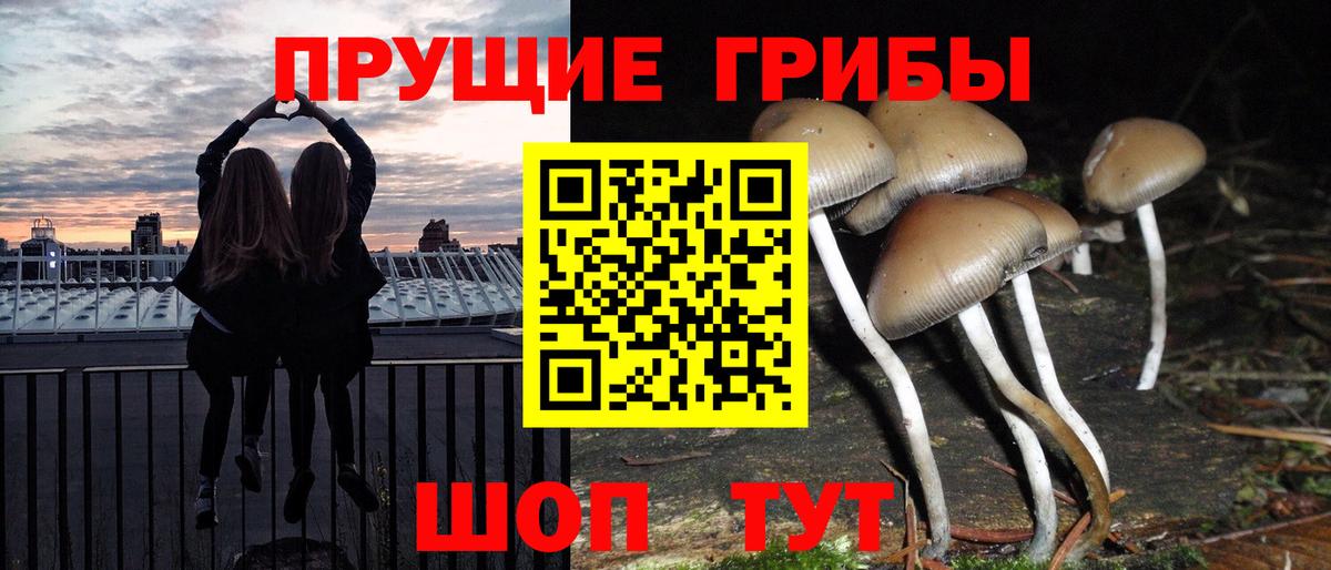 Псилоцибиновые грибы мицелий Уссурийск