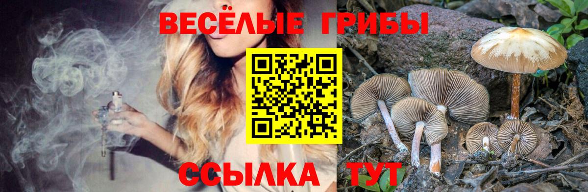 Псилоцибиновые грибы MAGIC MUSHROOMS  Вход с VPN  Уссурийск 